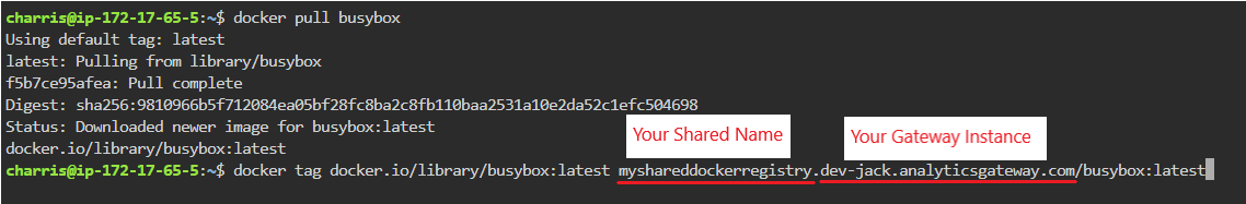 Example Docker Registry Usage