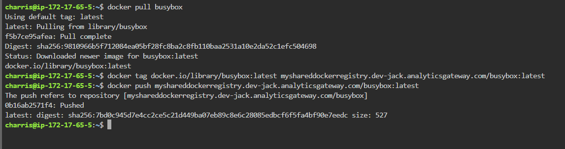 Example Docker Registry Usage