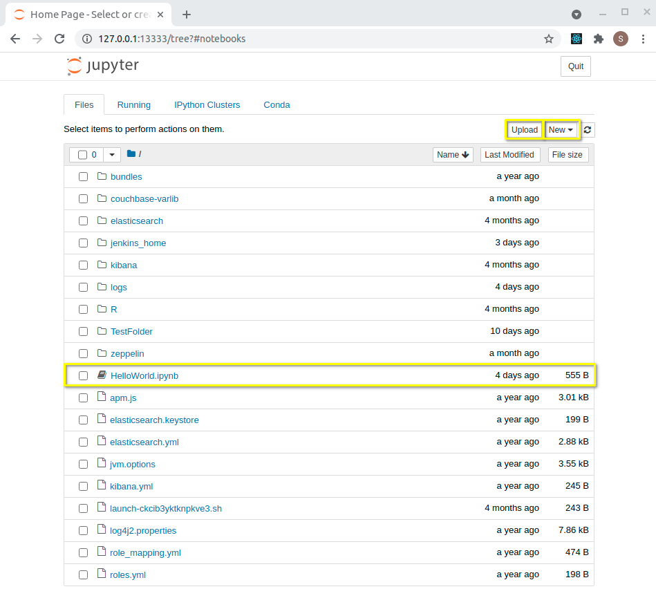 Access Jupyter Notebook